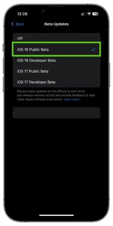 iOS-18-Public-Beta-Download-2
